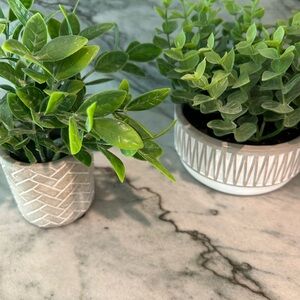 Green Faux Plant Set in Textured Pots